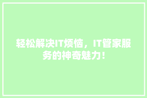 轻松解决IT烦恼，IT管家服务的神奇魅力！