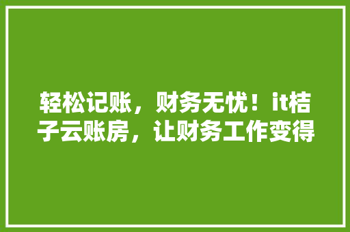 轻松记账，财务无忧！it桔子云账房，让财务工作变得简单高效