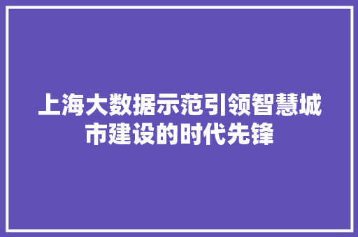 上海大数据示范引领智慧城市建设的时代先锋