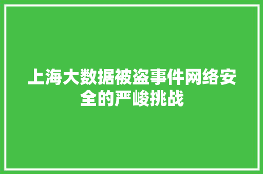 上海大数据被盗事件网络安全的严峻挑战