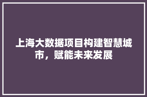 上海大数据项目构建智慧城市，赋能未来发展