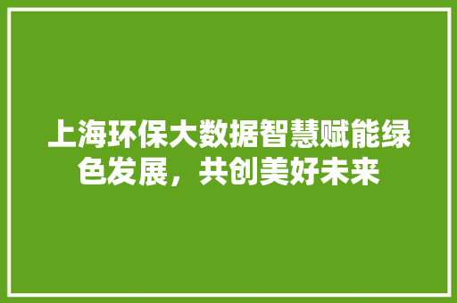 上海环保大数据智慧赋能绿色发展，共创美好未来
