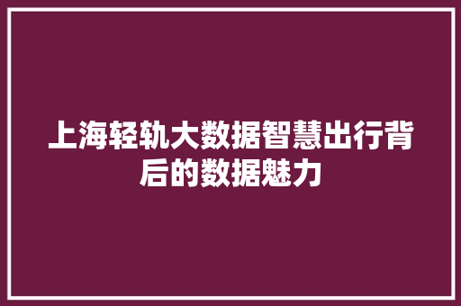 上海轻轨大数据智慧出行背后的数据魅力