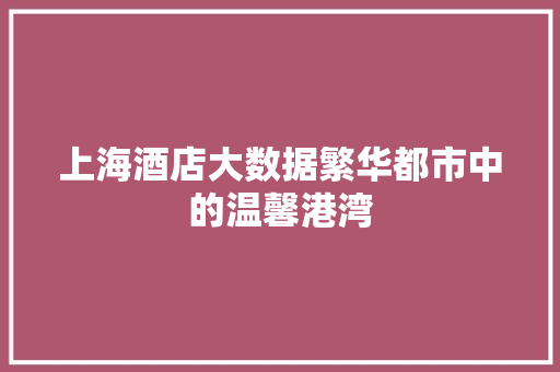 上海酒店大数据繁华都市中的温馨港湾
