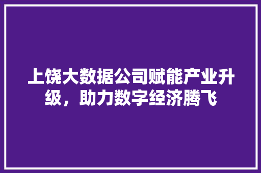上饶大数据公司赋能产业升级，助力数字经济腾飞