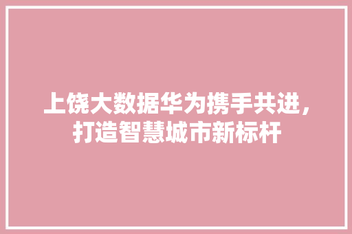 上饶大数据华为携手共进，打造智慧城市新标杆