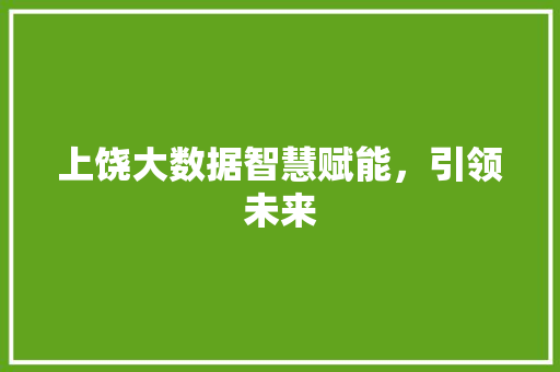 上饶大数据智慧赋能，引领未来