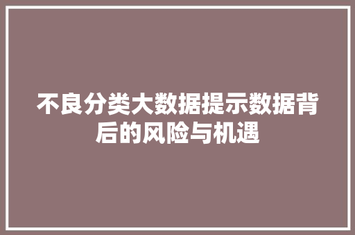 不良分类大数据提示数据背后的风险与机遇