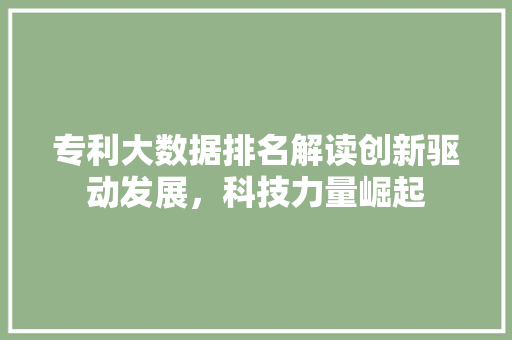 专利大数据排名解读创新驱动发展，科技力量崛起