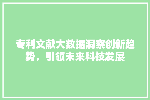 专利文献大数据洞察创新趋势，引领未来科技发展