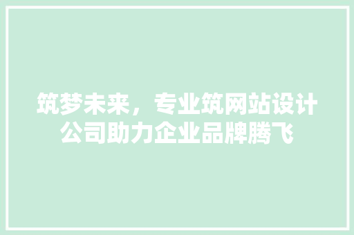筑梦未来，专业筑网站设计公司助力企业品牌腾飞 网站建设