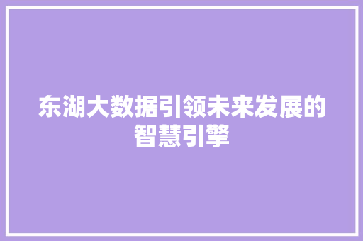 东湖大数据引领未来发展的智慧引擎