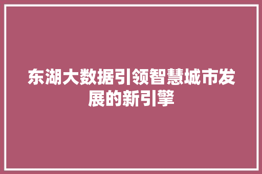 东湖大数据引领智慧城市发展的新引擎