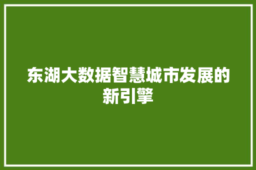 东湖大数据智慧城市发展的新引擎 商务信函