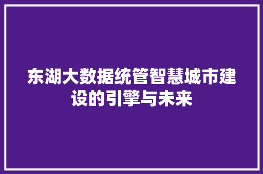 东湖大数据统管智慧城市建设的引擎与未来
