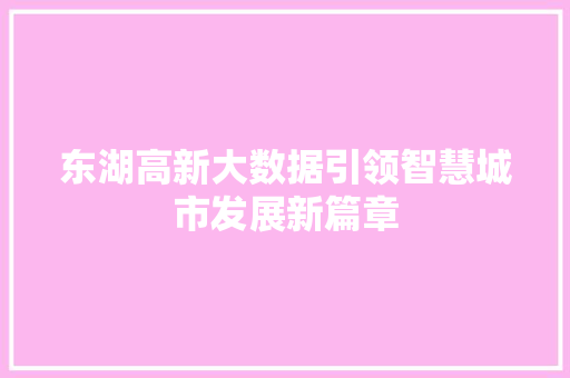 东湖高新大数据引领智慧城市发展新篇章