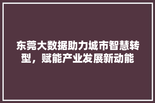 东莞大数据助力城市智慧转型，赋能产业发展新动能