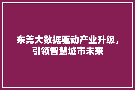 东莞大数据驱动产业升级，引领智慧城市未来