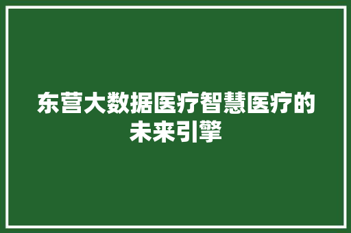 东营大数据医疗智慧医疗的未来引擎