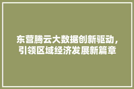 东营腾云大数据创新驱动，引领区域经济发展新篇章