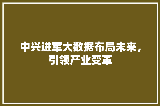 中兴进军大数据布局未来，引领产业变革