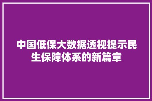 中国低保大数据透视提示民生保障体系的新篇章