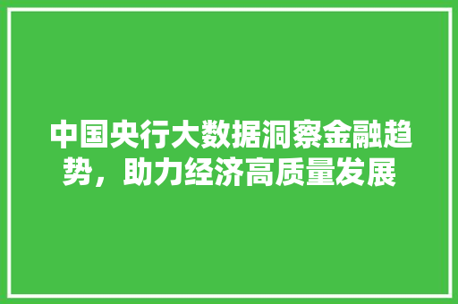 中国央行大数据洞察金融趋势，助力经济高质量发展