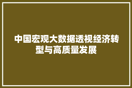 中国宏观大数据透视经济转型与高质量发展
