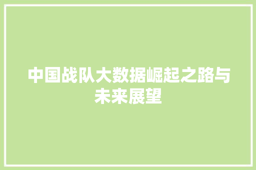 中国战队大数据崛起之路与未来展望