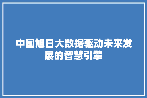 中国旭日大数据驱动未来发展的智慧引擎