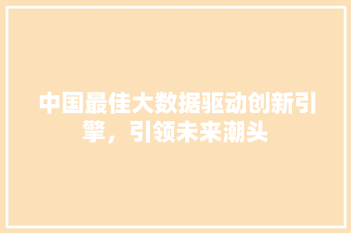 中国最佳大数据驱动创新引擎，引领未来潮头
