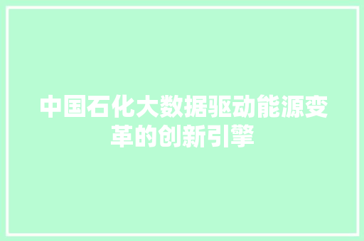 中国石化大数据驱动能源变革的创新引擎