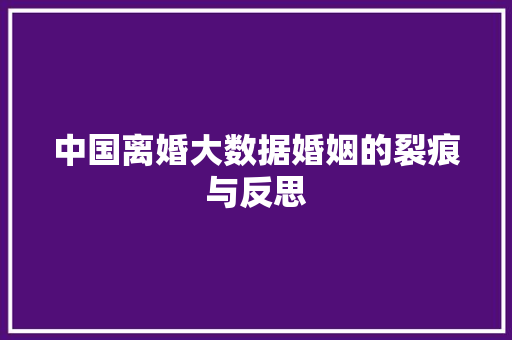 中国离婚大数据婚姻的裂痕与反思