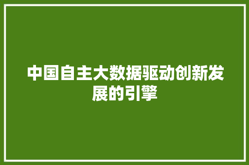 中国自主大数据驱动创新发展的引擎