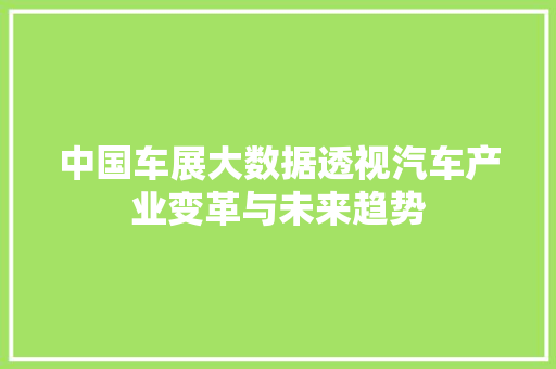 中国车展大数据透视汽车产业变革与未来趋势