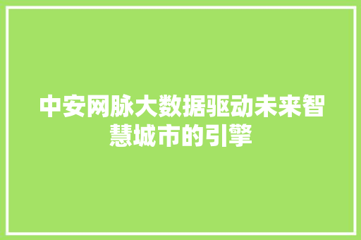 中安网脉大数据驱动未来智慧城市的引擎