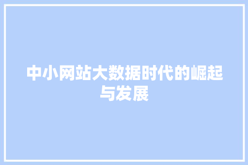中小网站大数据时代的崛起与发展