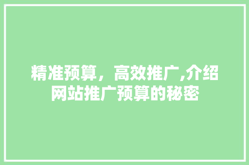 精准预算，高效推广,介绍网站推广预算的秘密