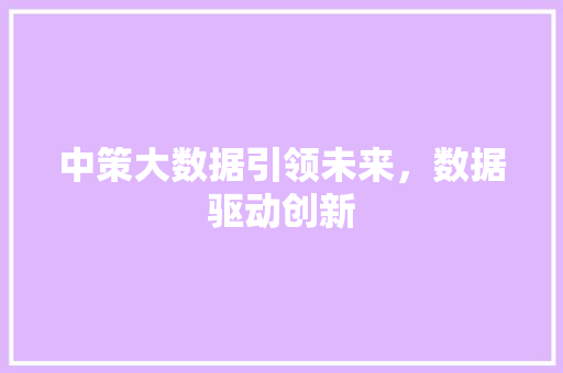 中策大数据引领未来，数据驱动创新