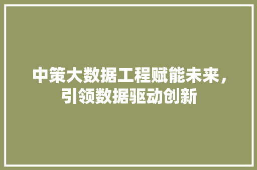 中策大数据工程赋能未来，引领数据驱动创新
