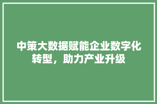 中策大数据赋能企业数字化转型，助力产业升级