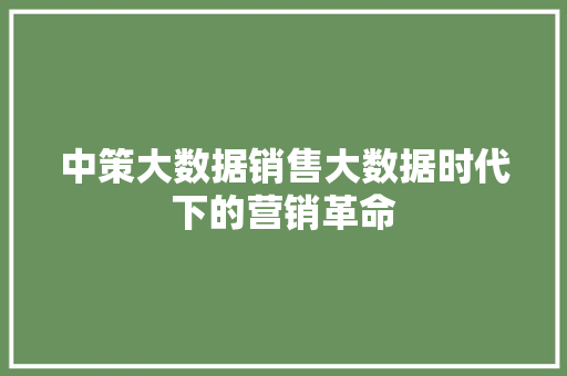 中策大数据销售大数据时代下的营销革命