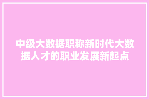 中级大数据职称新时代大数据人才的职业发展新起点