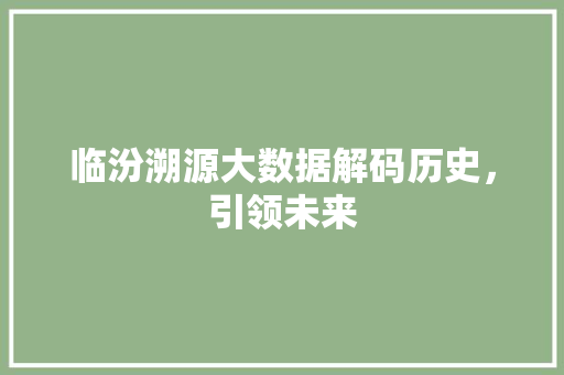 临汾溯源大数据解码历史，引领未来