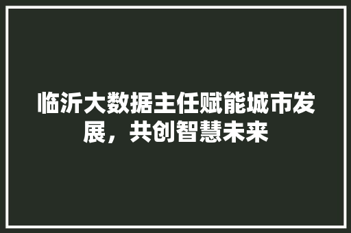 临沂大数据主任赋能城市发展，共创智慧未来