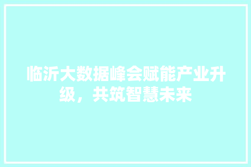 临沂大数据峰会赋能产业升级，共筑智慧未来