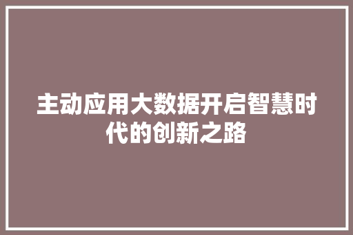 主动应用大数据开启智慧时代的创新之路