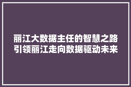 丽江大数据主任的智慧之路引领丽江走向数据驱动未来