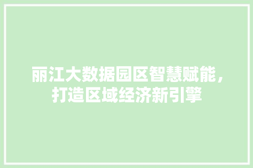 丽江大数据园区智慧赋能，打造区域经济新引擎