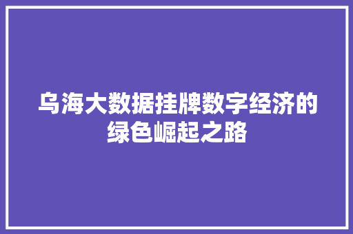 乌海大数据挂牌数字经济的绿色崛起之路